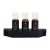 Sauna Geuren Gift Set: Sisu, Tall And Salmiac – 3 X 10 Ml – Emendo
