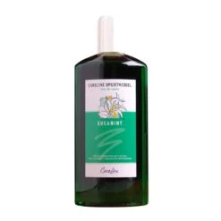 Eucamint Opgietmiddel Voor Sauna – 500 Ml